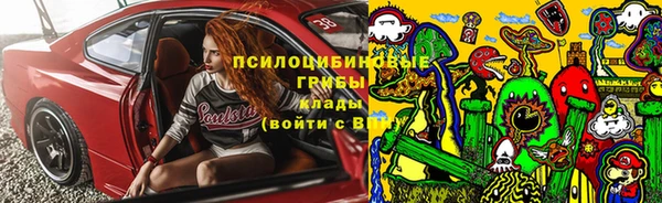 прущая мука Белокуриха