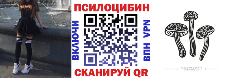 Псилоцибиновые грибы Psilocybine cubensis  купить наркотики сайты  Армавир 